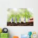 Person Planting Money Plants Wall Decal