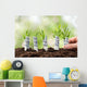 Person Planting Money Plants Wall Decal