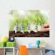 Person Planting Money Plants Wall Decal