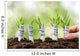 Person Planting Money Plants Wall Decal