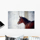 Portrait of a sports horse in the winter. Wall Decal