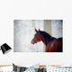 Portrait of a sports horse in the winter. Wall Decal