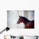 Portrait of a sports horse in the winter. Wall Decal