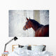 Portrait of a sports horse in the winter. Wall Decal