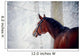 Portrait of a sports horse in the winter. Wall Decal