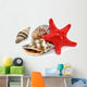 Seashells and Starfish Wall Decal