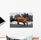Rennpferd, Jockey, Pferd, Pferderennen, Wall Decal