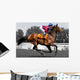 Rennpferd, Jockey, Pferd, Pferderennen, Wall Decal