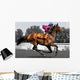 Rennpferd, Jockey, Pferd, Pferderennen, Wall Decal