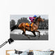 Rennpferd, Jockey, Pferd, Pferderennen, Wall Decal
