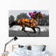 Rennpferd, Jockey, Pferd, Pferderennen, Wall Decal