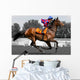 Rennpferd, Jockey, Pferd, Pferderennen, Wall Decal