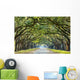 Country Road Lined with Wall Decal