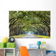 Country Road Lined with Wall Decal
