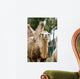 Camel Wall Decal