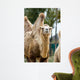 Camel Wall Decal