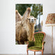 Camel Wall Decal