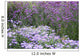 Purple Flowers Wall Decal