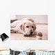 Birthday Labrador Retriever Wall Decal