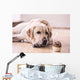 Birthday Labrador Retriever Wall Decal