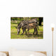 Zebras Zoo Wall Decal