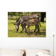 Zebras Zoo Wall Decal