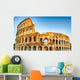 The Colosseum, Rome Wall Decal