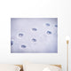 Paw prints in snow Wall Decal