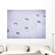 Paw prints in snow Wall Decal