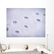 Paw prints in snow Wall Decal