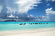 Caribbean Attraction Wall Decal