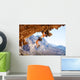 Young female rock climber on overhanging cliff Wall Decal