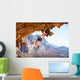 Young female rock climber on overhanging cliff Wall Decal