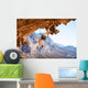 Young female rock climber on overhanging cliff Wall Decal