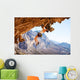Young female rock climber on overhanging cliff Wall Decal