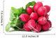 Radish Wall Decal