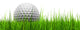 White golf ball in grass Wall Decal