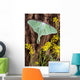 Luna Moth Tree Wall Decal