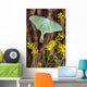 Luna Moth Tree Wall Decal