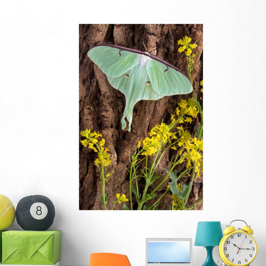 Luna Moth Tree Wall Decal