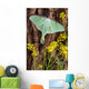 Luna Moth Tree Wall Decal