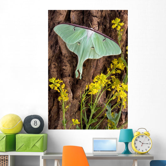 Luna Moth Tree Wall Decal