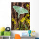 Luna Moth Tree Wall Decal