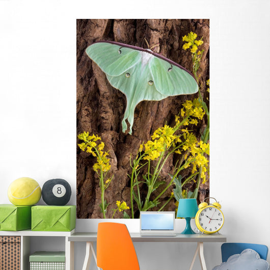 Luna Moth Tree Wall Decal