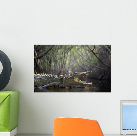 Crocodile Wall Decal