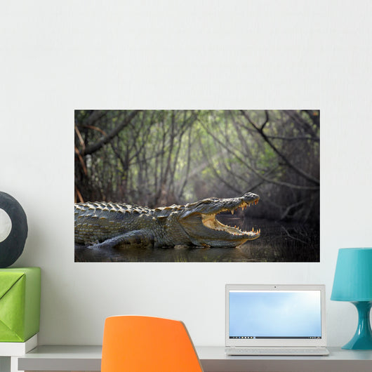 Crocodile Wall Decal