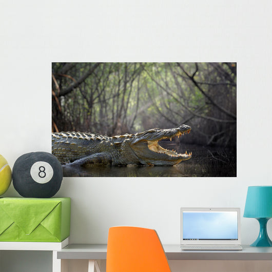 Crocodile Wall Decal