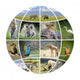 Globe design with photographs animals Wall Decal