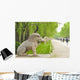 The Ming tombs mausoleum Wall Decal