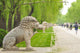 The Ming tombs mausoleum Wall Decal